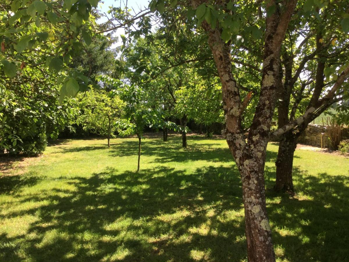 Les Noyers Aulnay Bed and Breakfast Aulnay  Buitenkant foto